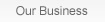 Our Business